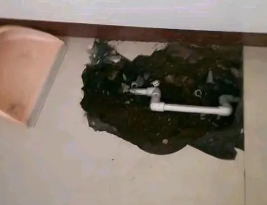 湖州卫生间测漏水多少钱